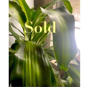 Sold Items